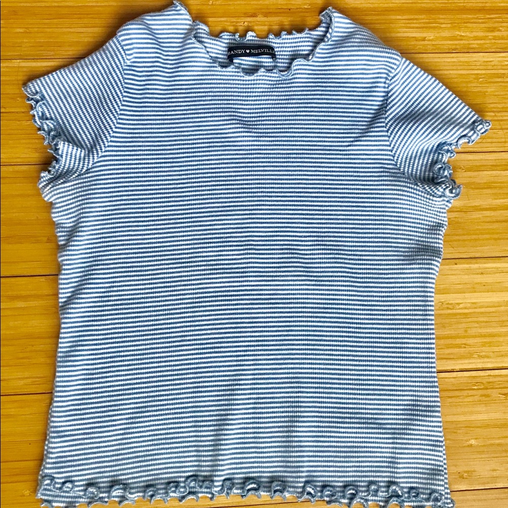 Brandy Melville crop tee